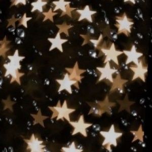 Meet your Posher, Arleigh